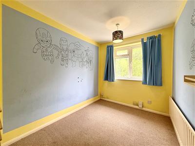Picture 13